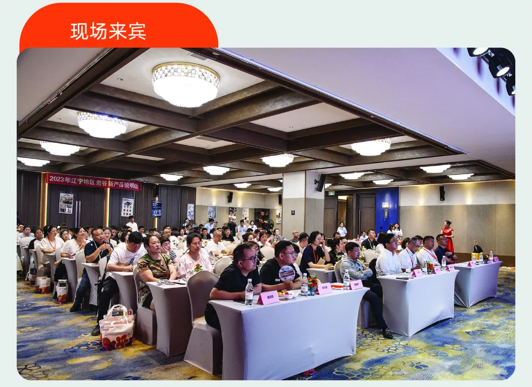 �Ϲ�NG28(�й�)����Ʒ��ʵ�����޹�˾