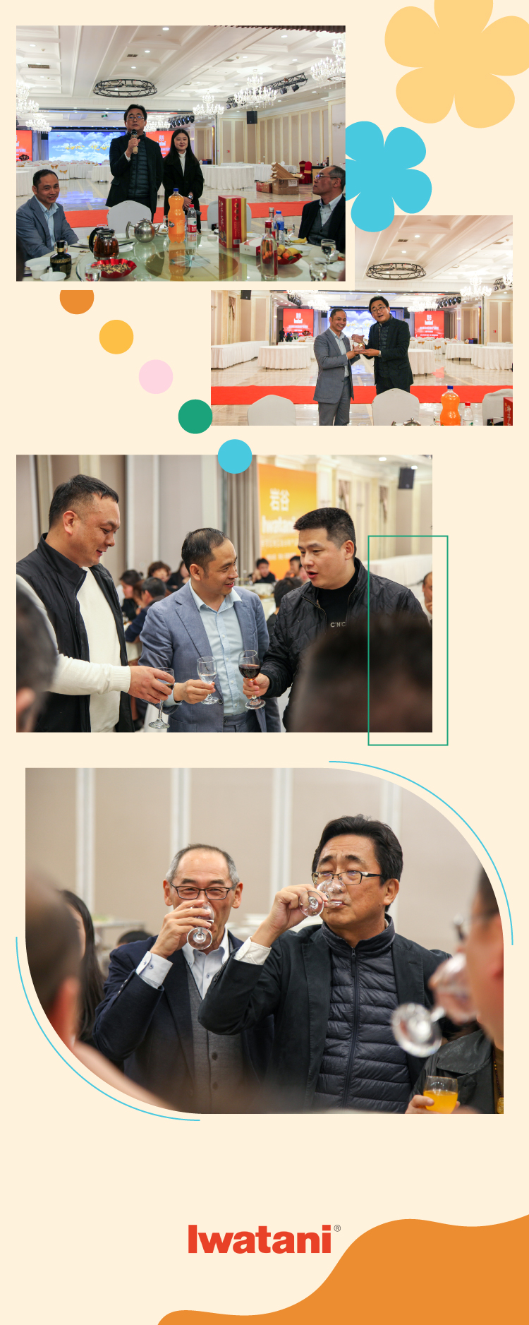 �Ϲ�NG28(�й�)����Ʒ��ʵ�����޹�˾